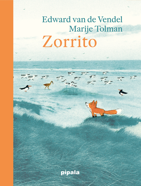 ZORRITO - TOLMAN, Marije