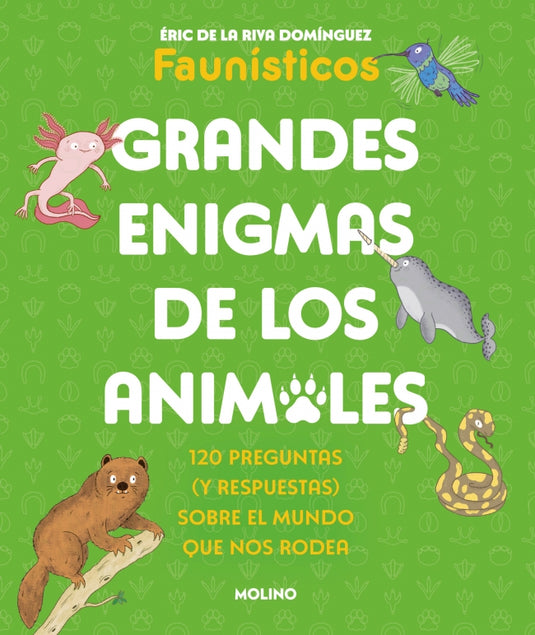 GRANDES ENIGMAS DE LOS ANIMALES - De La Riva Domínguez, Éric